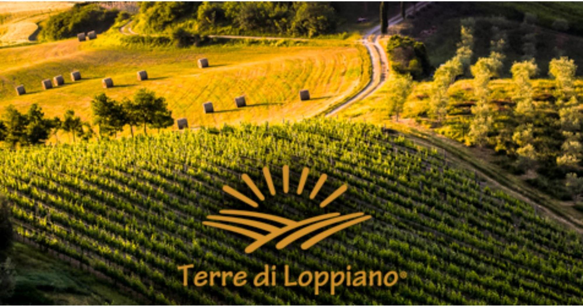 Agriturismo Fattoria Di Loppiano Regina Mundi Vivajo Exterior foto